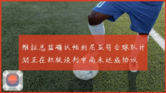 维拉总监确认帕利尼亚符合球队计划正在积极谈判中尚未达成协议